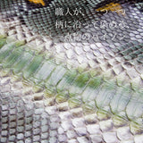 美しいいめえラルドグリーンの手染めパイソンニシキヘビ