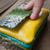 軽くて手のひらサイズの緑のパイソン蛇革のお財布。革の柔らかさ、質の良さがわかる