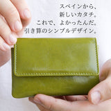 緑色のミニ財布。片手に収まる様子