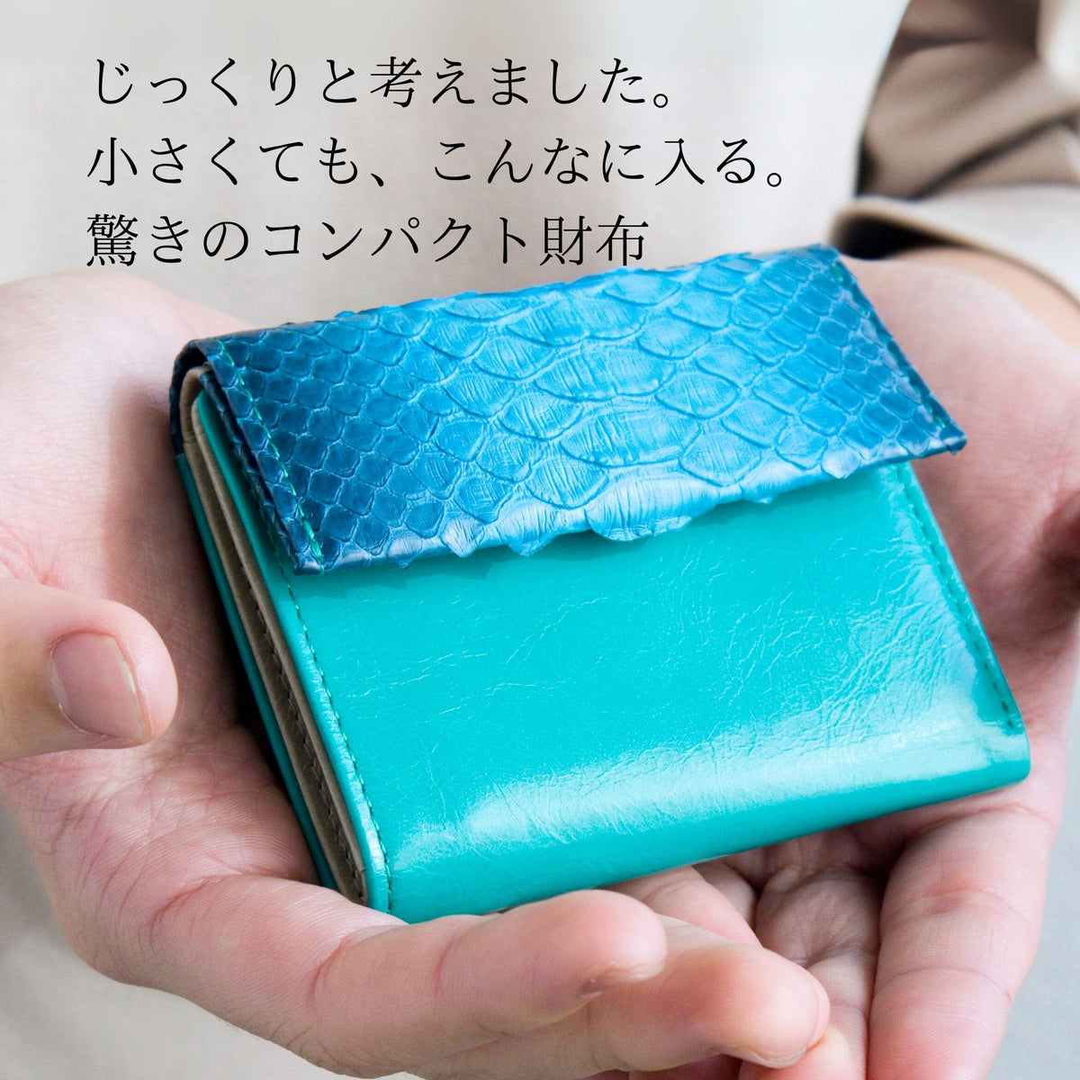 蛇革青いミニ財布を手のひらに乗せて大きさを見せている様子