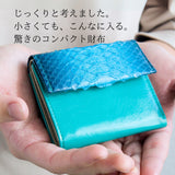 蛇革青いミニ財布を手のひらに乗せて大きさを見せている様子