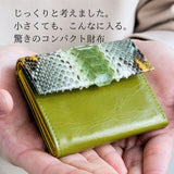 緑のコンパクト蛇革財布を手のひらに乗せた様子