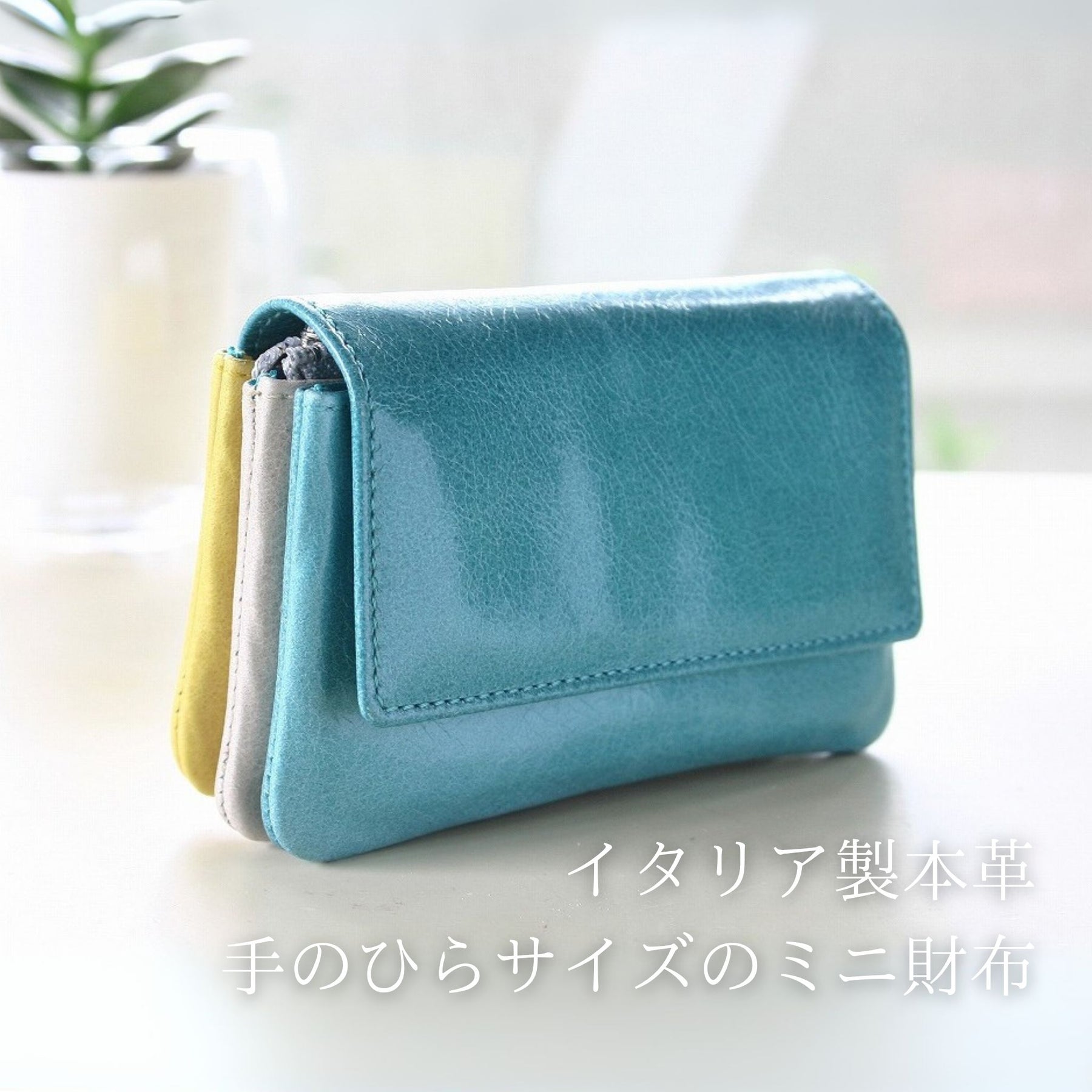 コンパクト財布パイソン