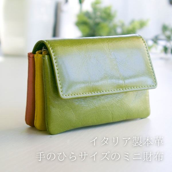 緑色のミニ財布。カードがたくさん入るコンパクト財布の正面からの写真