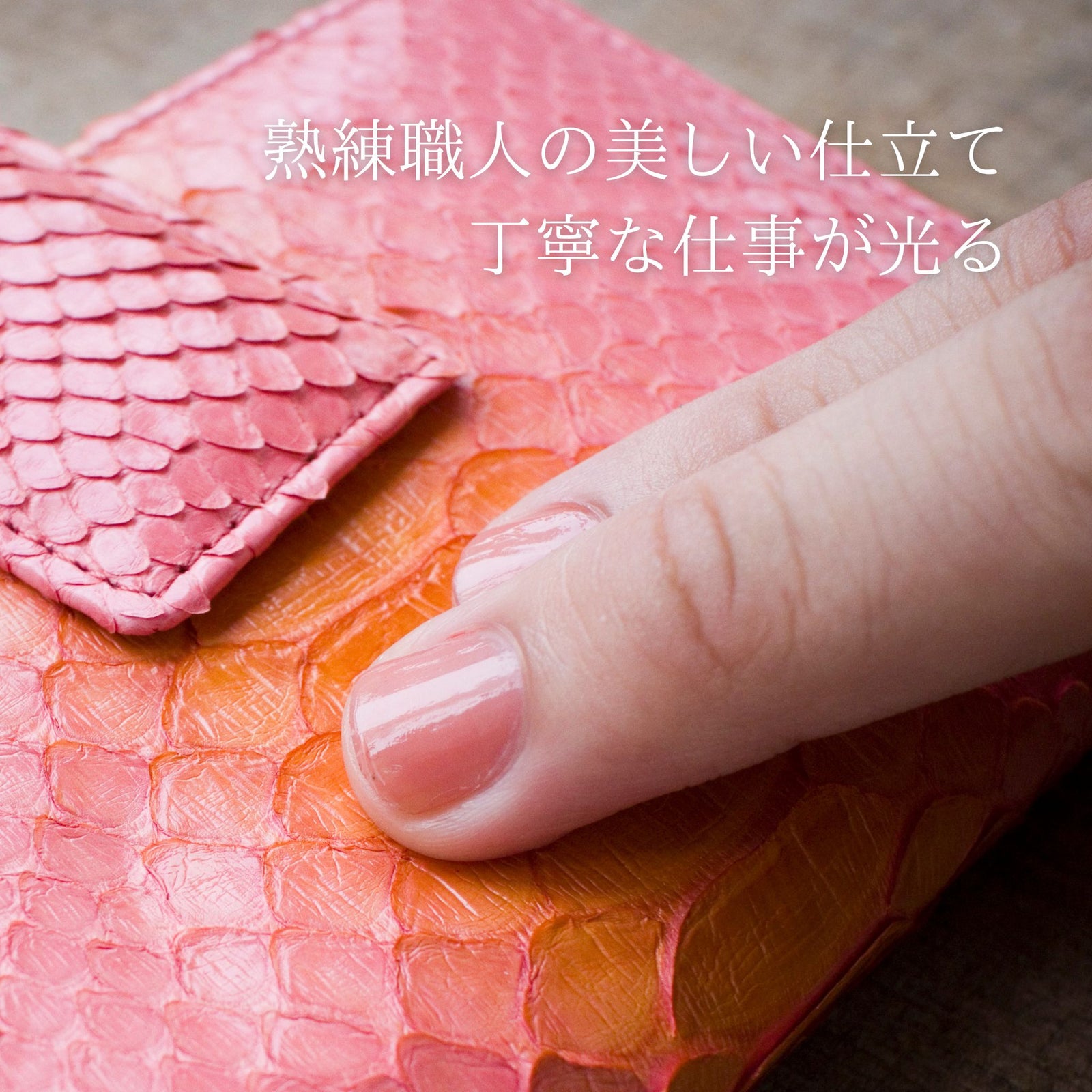 二つ折り財布 パイソン 蛇革 カルテラ（ピンクグラデーション