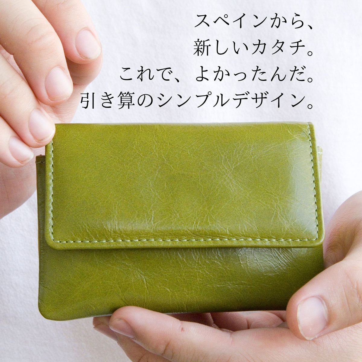 緑色のミニ財布。片手に収まる様子