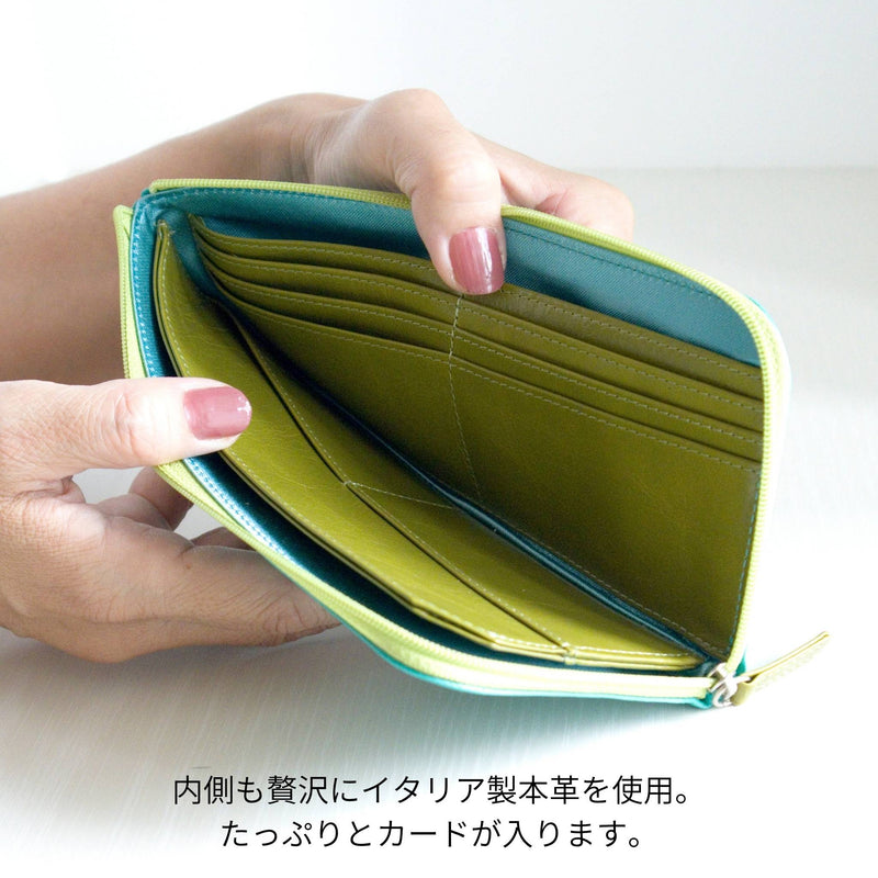 緑色のL字ファスナー財布の中が見える様子
