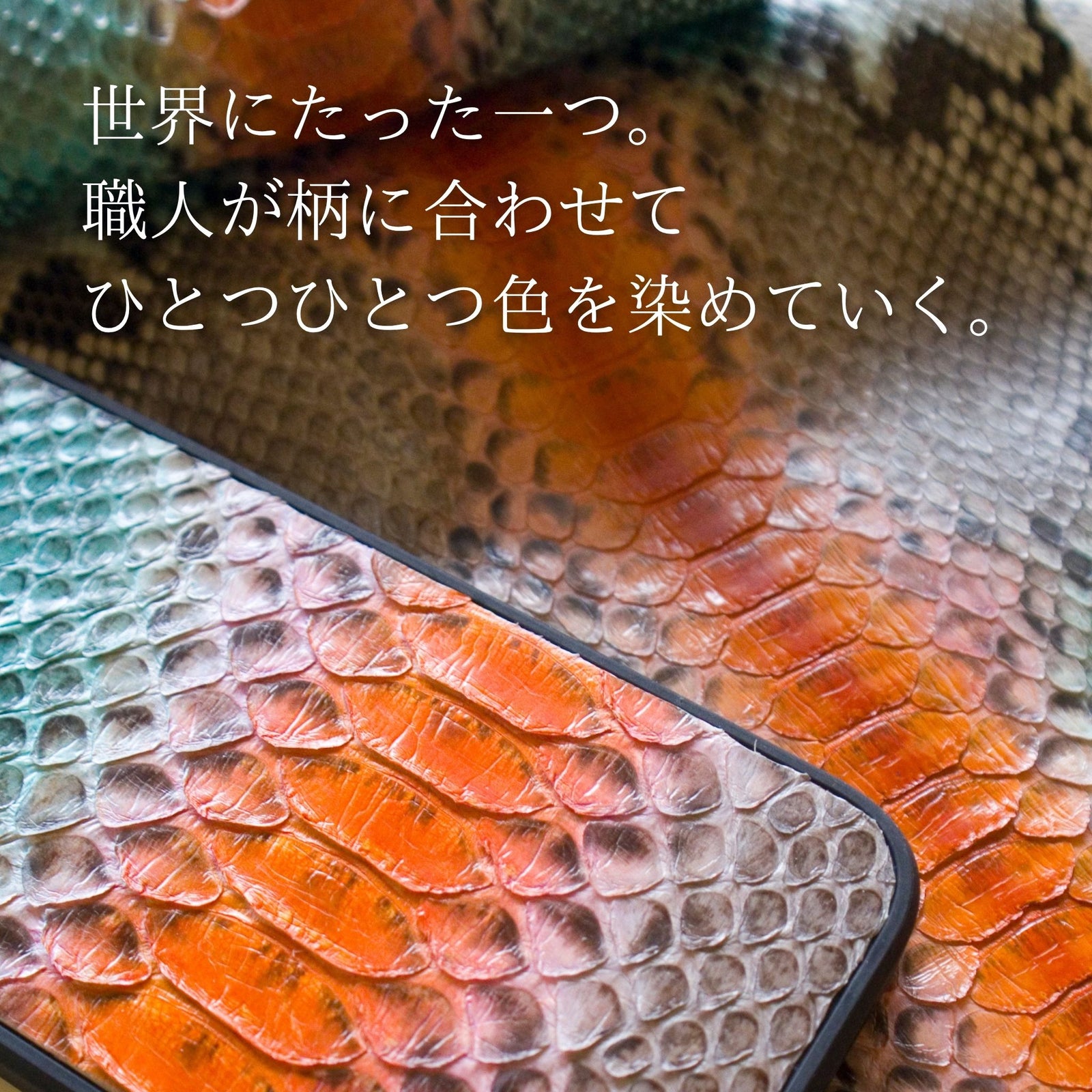 ミニ財布 モネ 蛇革 パイソン（アネモネ) – étonné エトネ