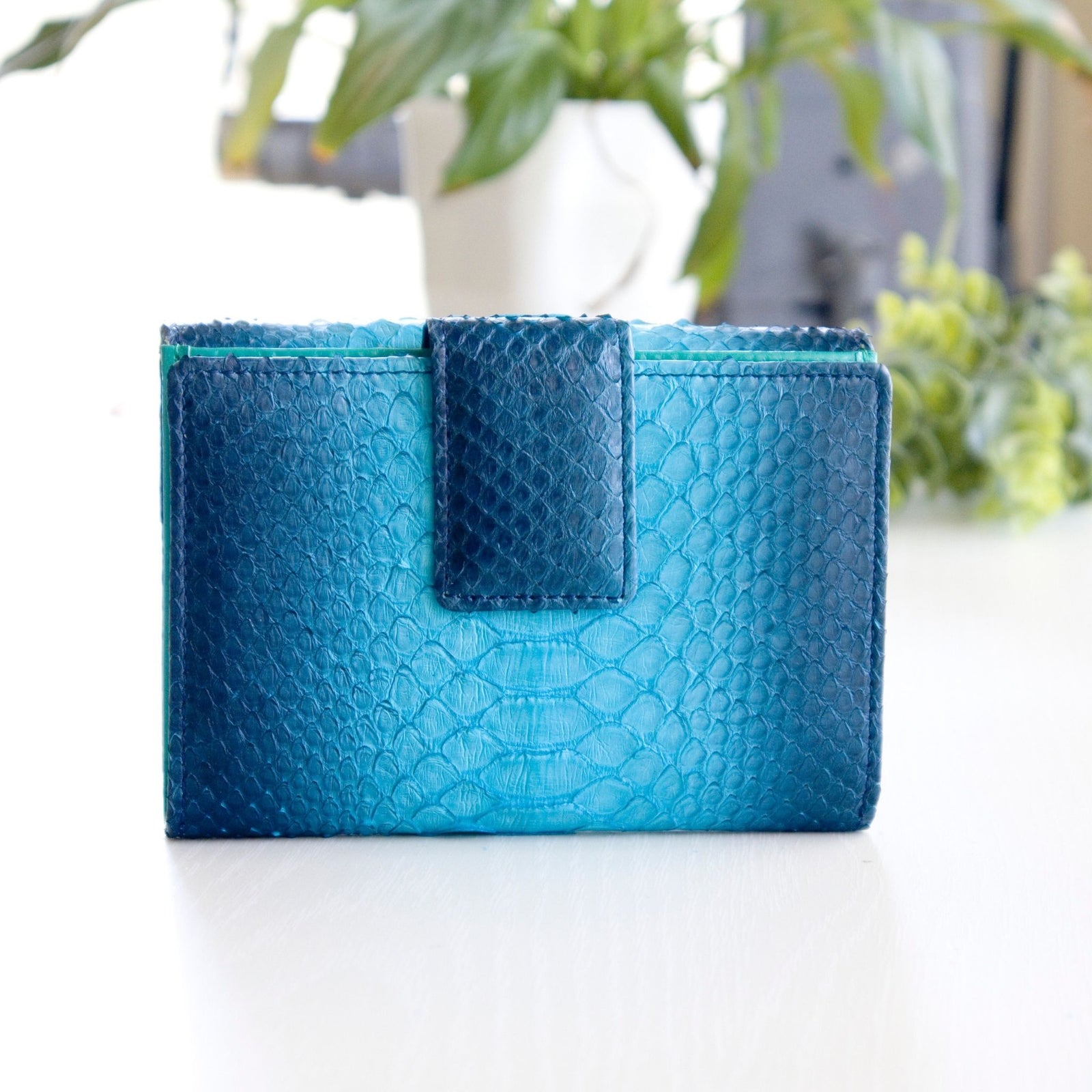 50_08b86b2a-86a0-4b31-9855-