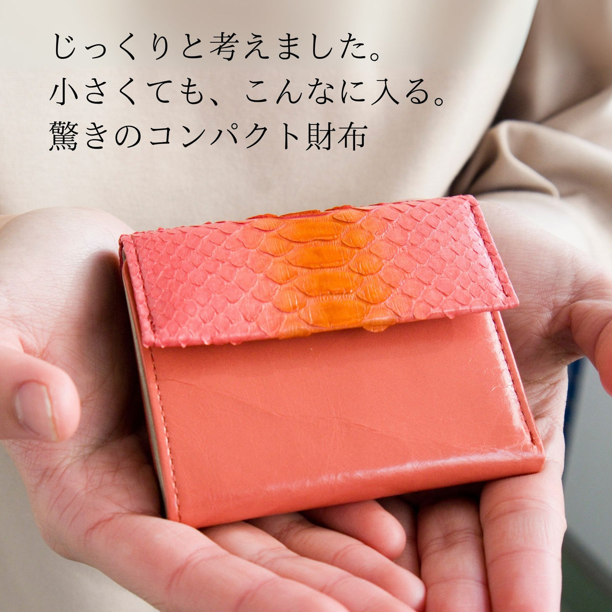 ピンクの蛇革のパイソンミニ財布を両手で持っている様子