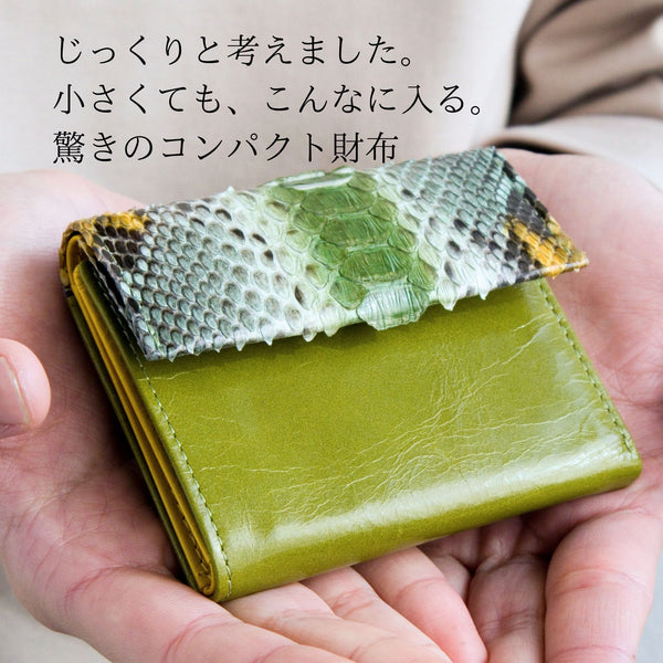 緑のコンパクト蛇革財布を手のひらに乗せた様子