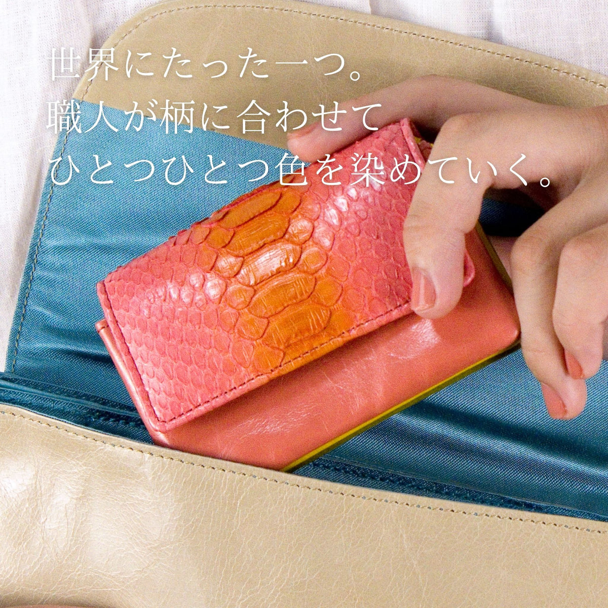 カードがたくさん入るピンクとオレンジのパイソン蛇革のお財布を鞄の中に入れる様子