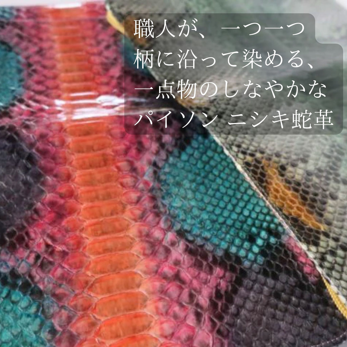 美しいニシキヘビ革、パイソン4色手染め。ウロコが揃っているのが分かる