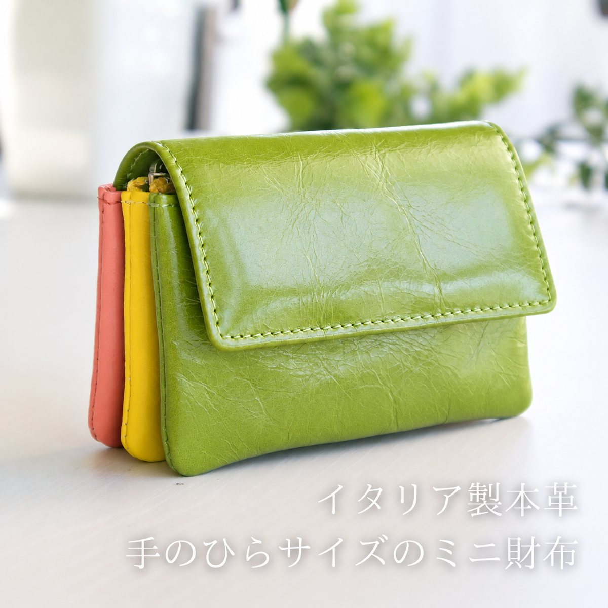 3色がそろった、かわいいミニ財布。緑の財布。